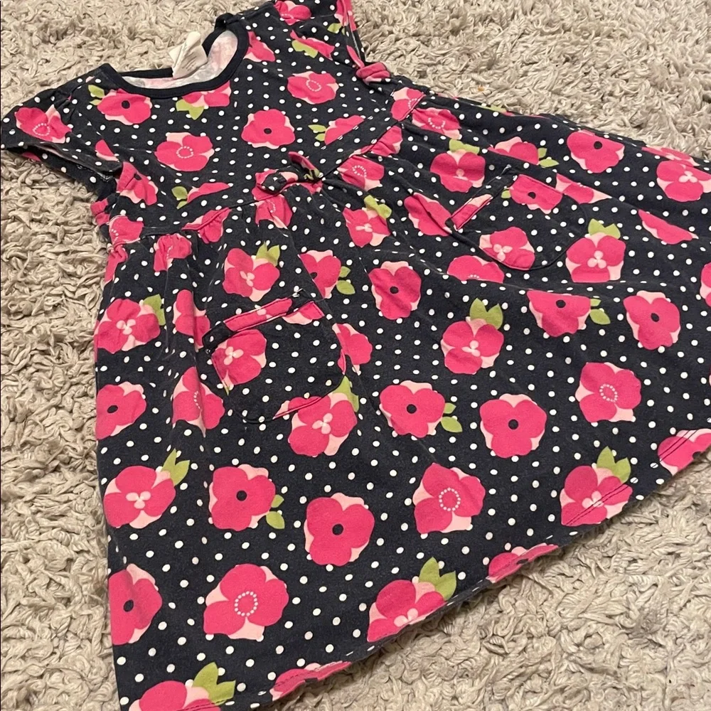 2011 Crazy 8 Blossom Dot Knit Dress, Size 5